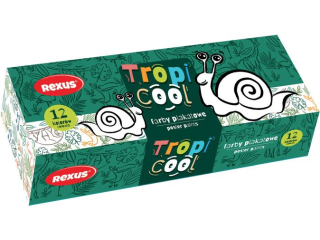 FARBY PLAKATOWE 12kol. 20ml / REXUS TROPICOOL