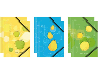 TECZKA KARTONOWA Z GRAFIKĄ I GUMKĄ NAROŻNĄ A4 (OWOCE - MIX)
