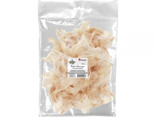 Piórka dekoracyjne puch 16g beżowe