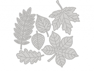 ZESTAW WYKROJNIKW DP CRAFT - LICIE, 6 SZT.