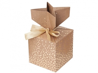 PUDEKA SKADANE CANDY BOX, 10X10 CM, ZOTE KROPKI, 2 SZT.  [opakowanie=6szt]