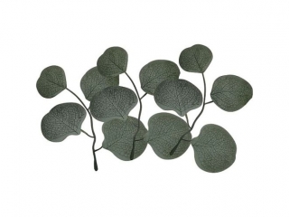 GAZKA LICI A`3 15CM    4876