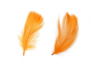 Pirka dekoracyjne puch 16g pomaraczowe