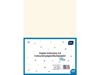 Papier kolorowy A4 Basic 100ark.Mix