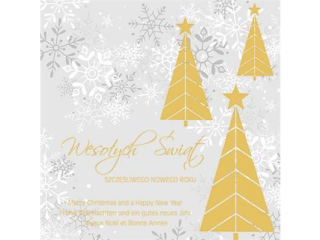 Laurka kwadrat firmowa LKF 150x150 mm z kopert�  POL-MAK GWIAZDKA LKF_GWSW_53640  [opakowanie=25szt]