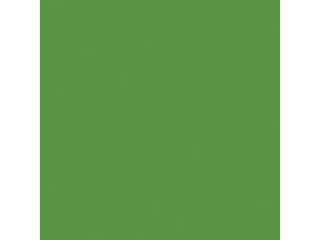 Serwetki POL-MAK Maki Unicolour Coctail 25cm 20szt. - Green Grass CLCO000400 [opakowanie=12szt]