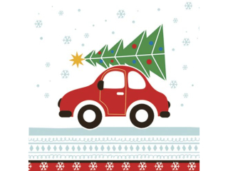 Serwetki POL-MAK GWIAZDKA Daisy Lunch 33cm 20szt. Joyful Xmas Car SD_GW_019201  [opakowanie=24szt]