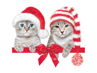 Serwetki POL-MAK GWIAZDKA Maki Lunch 33cm 20szt. Lovely Cats in Christmas Hats SL_GW_026201  [opakowanie=12szt]