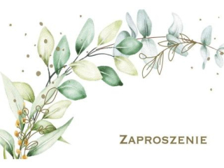 Zaproszenie POL-MAK 10szt. ogólne 160x95 z kopertą Z_OG_61608
