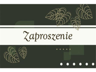 Zaproszenie POL-MAK 10szt. ogólne 160x95 z kopertą Z_OG_61612