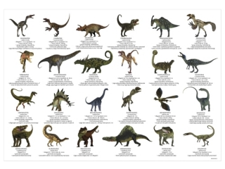PODKŁAD OKLEJANY EDUKACYJNY DINOZAURY