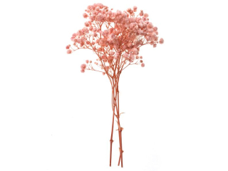 GIPSÓWKA, 4 GAŁĄZKI, OK. 20 CM, LIGHT PINK