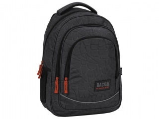 PLECAK BACKUP 5 MODEL X 46