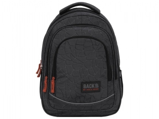 PLECAK BACKUP 5 MODEL X 46