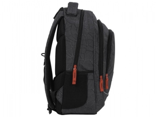 PLECAK BACKUP 5 MODEL X 46