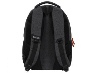 PLECAK BACKUP 5 MODEL X 46