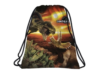 WOREK NA OBUWIE DINOZAUR 18