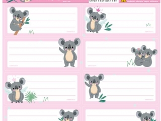 NALEPKI NA ZESZYTY KOALA 10 [opakowanie=25szt]