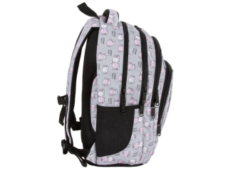 PLECAK BACKUP 7 MODEL A 12