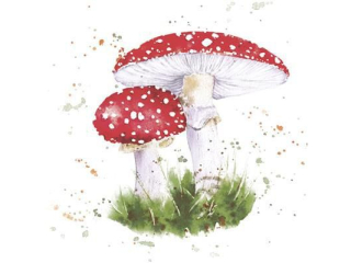 Serwetki POL-MAK Maki Lunch 33cm 20szt. Painted Toadstool SL_OG_060301 [opakowanie=12szt]