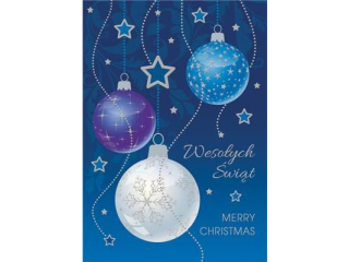 Laurka firmowa B6F 117x167 z kopert�  POL-MAK GWIAZDKA B6F_GWSW_50754  [opakowanie=10szt]