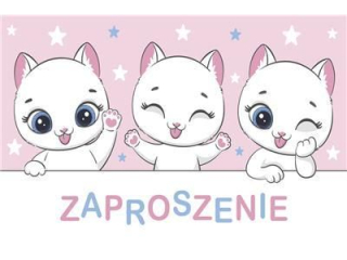 Zaproszenie Z 160x95 z kopertą POL-MAK 10szt. dziecięce Z_DZIE_62130