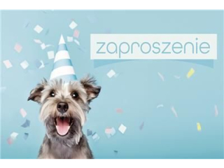 Zaproszenie Z 160x95 z kopert POL-MAK 10szt. dziecice Z_DZIE_62141