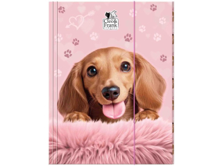 TECZKA Z GUMK� A4 CLEO I FRANK 46 (PIES) [opakowanie=10szt]