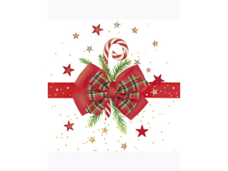 Serwetki POL-MAK GWIAZDKA Daisy coctail 25cm 20szt. Checked Bow with Candy Cane CD_GW_022001  [opakowanie=12szt]