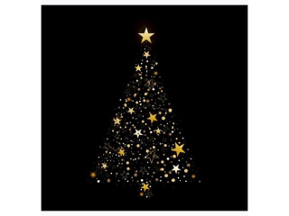 Serwetki POL-MAK GWIAZDKA Daisy coctail 25cm 20szt. Glittering Christmas Tree on Black CD_GW_022801  [opakowanie=12szt]