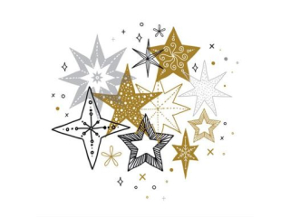 Serwetki POL-MAK GWIAZDKA Daisy Lunch 33cm 20szt. Chic Stars Collection SD_GW_023301  [opakowanie=24szt]