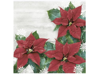 Serwetki POL-MAK GWIAZDKA Daisy Lunch 33cm 20szt. Red Poinsettias Frame SD_GW_024401  [opakowanie=24szt]