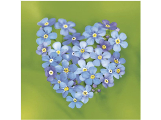 Serwetki POL-MAK Daisy Lunch 33cm 20szt. Forget-me-nots Heart SD_WI_008501 [opakowanie=24szt]