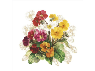 Serwetki POL-MAK Daisy Lunch 33cm 20szt. Vintage Primrose Bunch SD_WI_009701 [opakowanie=24szt]