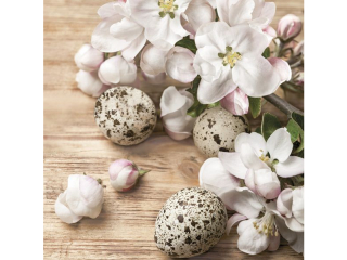 Serwetki POL-MAK Daisy Lunch 33cm 20szt. Quail Eggs with Apple Blossom SD_WL_010501 [opakowanie=24szt]