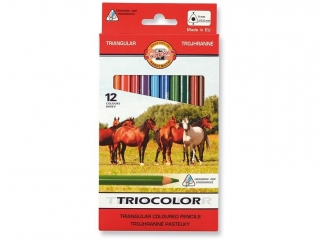 KIN KREDKI TRIOCOLOR 3142 12 KOLORÓW 9MM