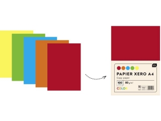 Papier Xero A4 100 5 intens.kolor.