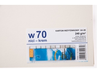 Karton W70 wizytówkowy A4-20 nici krem