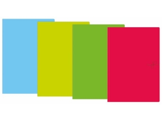 TECZKA WIZANA A4+ FLUO MIX KOLORW [opakowanie=10szt]