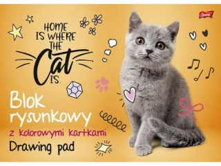 Blok rysunkowy z kolorowymi kartkami A3, 16k. [opakowanie=10szt]